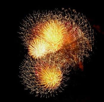 Copy of fireworks Evanston close up2